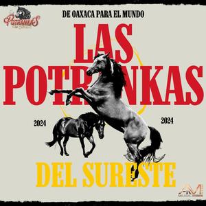 Huapango Sal y Limón