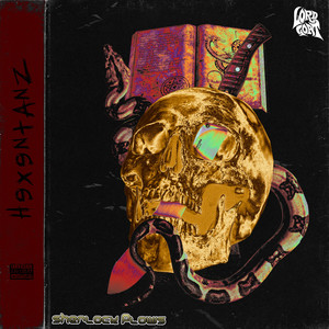 In den Slums von D!$n€yland