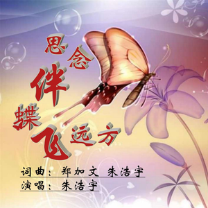 思念伴蝶飞远方