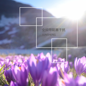 全频带阻塞干扰