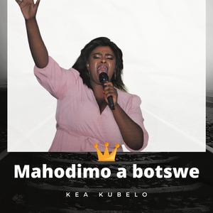 Mahodimo a botswe