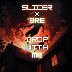 Drop With Me