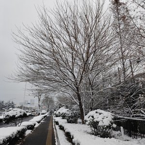 我们的爱奉陪到底