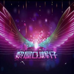 黎屋Dj辉仔-全中文Funky情歌之王我爱你你却爱着他车载串烧