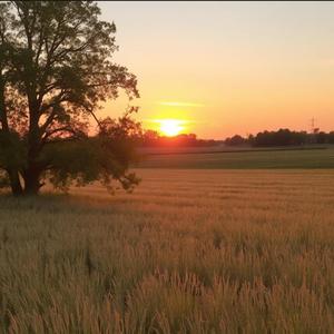 Work hard, play hard