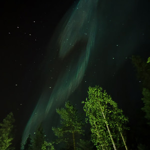 Недоступен