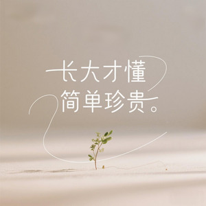 长大才懂简单珍贵