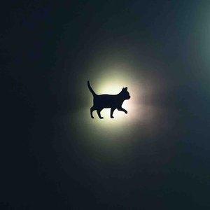 浴室(2019 Reprise)