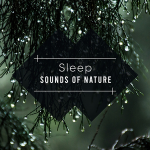 White Noise Rain(Loopable,No fade)