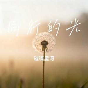 同行的光