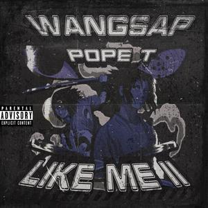 Like Me II (feat. Pope T)