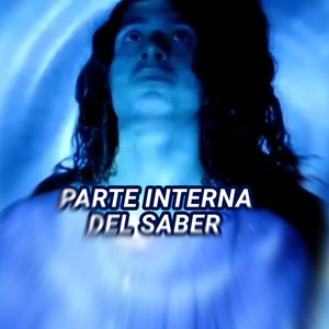 PARTE INTERNA DEL SABER