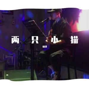 两只小猫（Demo）