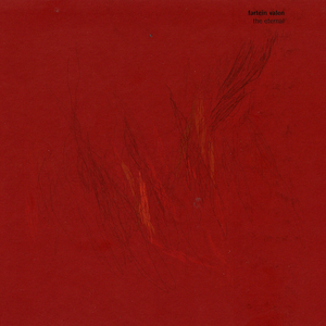 The Churchyard By The Sea