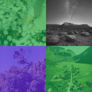 一尘不染梦印象数