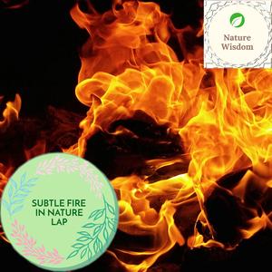 Healing Daytime Fire