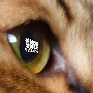 猫猫同盟シュプレヒコール