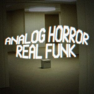 Analog Horror Real Funk