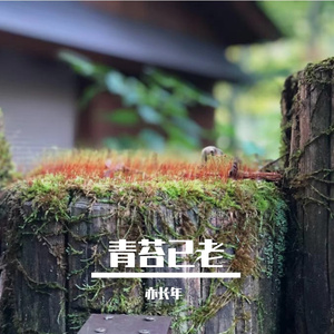 青苔已老