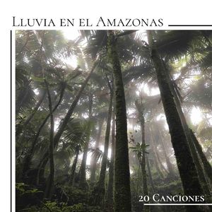 Cabeza en las Nubes (Música para la Meditación)