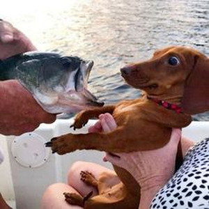 Complicated (sped up)