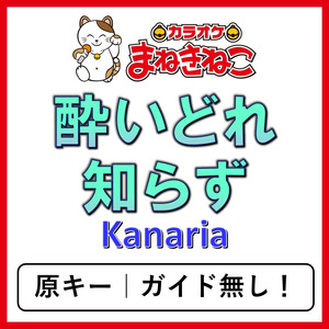 酔いどれ知らず（カラオケ）[Kanaria]