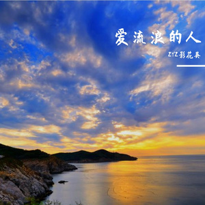 爱流浪的人