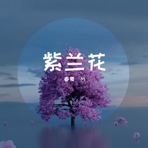 毛毛细雨