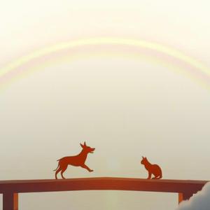 虹の橋のたもとで 〜にゃんことイヌ〜
