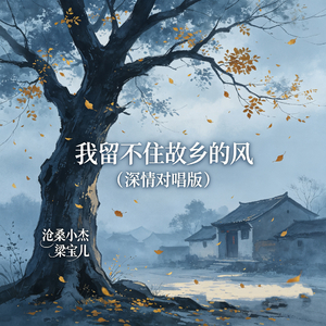 我留不住故乡的风（深情对唱版）