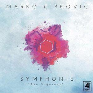 Symphonie 6 "The Vigorous": I. Vernunft