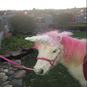 iPromise (feat. Sodaa)