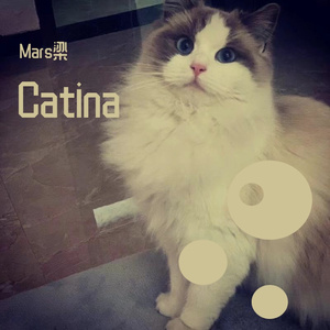 Catina