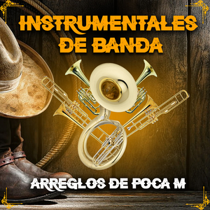 Camino Hacia La Cima