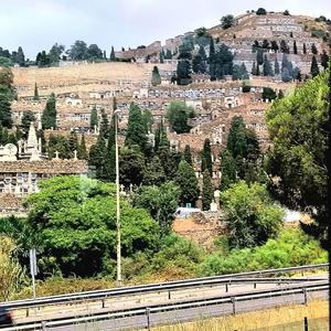 Thirty second to rent