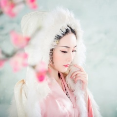 往后岁月