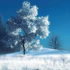 福气要来到 (DJ版)