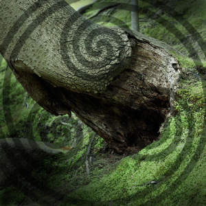 India is Calling (Bonus Track)