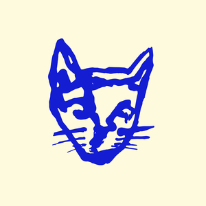 Diskokugler & Balloner