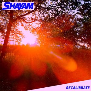 Recalibrate (Radio Edit)