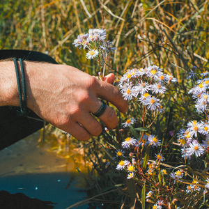 Голоса среди звёзд (Acoustic)