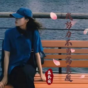 我努力不当窝囊废-孟长安