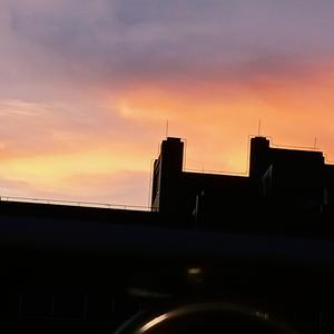 回到夏天（致我的过去和未来）