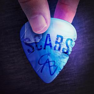 feathers in the wind