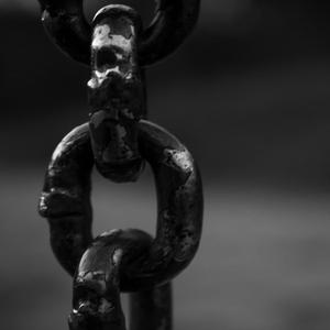 The Blue Reaper Riders