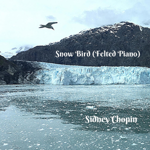 Snow Bird (Felted Piano)
