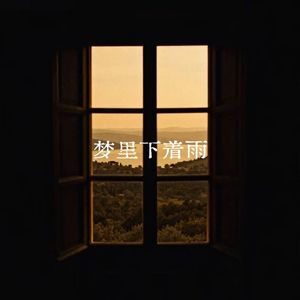 梦里下着雨