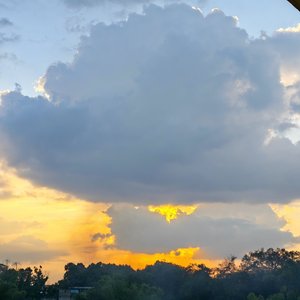 失忆一万遍 爱你一万零一遍