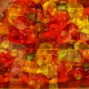 Simaroubaceae