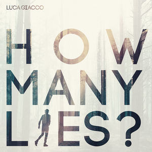 How Many Lies?